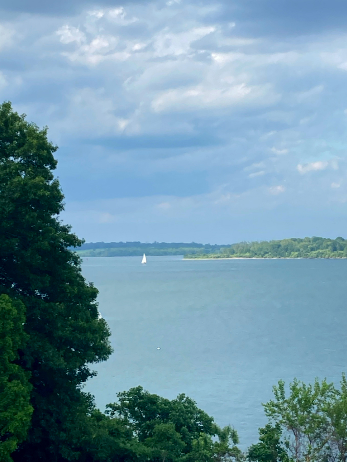 The Slow Regard of Summer